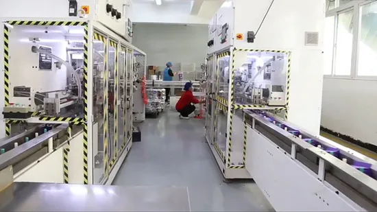 Wholesale Snow Lotus B Grade Anion Chip Pads Ladies Sanitary Pads Bamboo Charcoal Sanitary Napkins to Kenya 