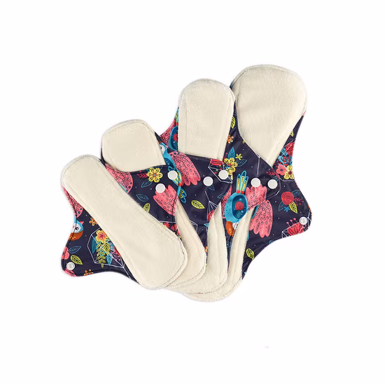 OEM Cheap Woman Pad Soft Comfortable Women Breathable High Quality Anion Cotton Sanitary Napkins for Lady China Factory Manufacturer Suppliers Sanitary Napkin